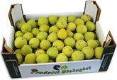 Großgebinde (kg) - frische Pflaumen BIO (ca. 6 kg)